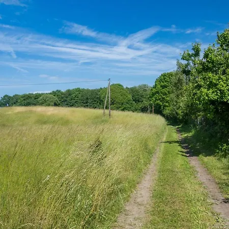 Holiday home Ostsee Bungalow Am Waldesrand
